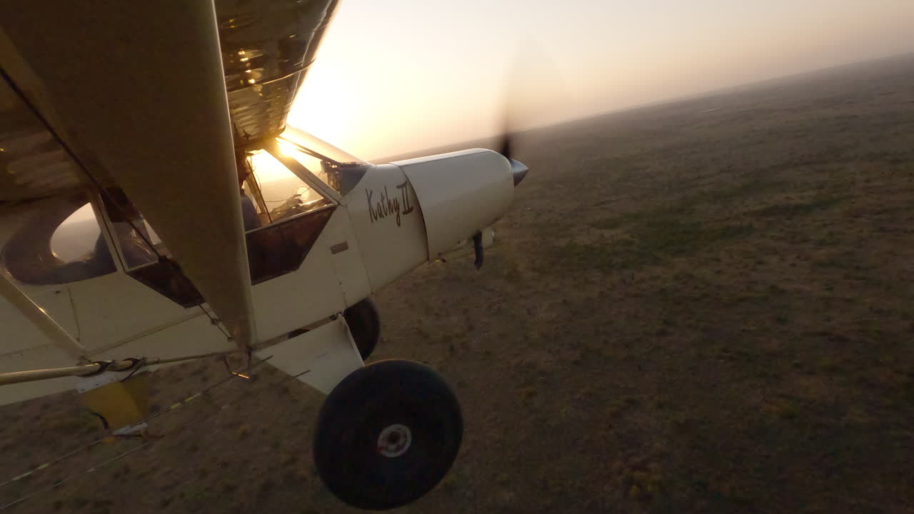 Avião sobre projeção de sombra e vista aérea de vegetação esparsa