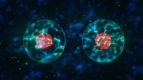 cell division