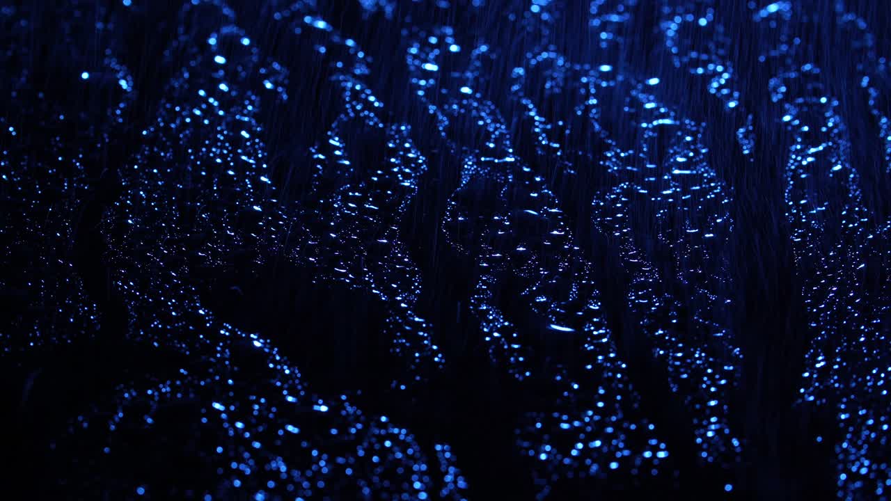 다릭 파란색 배경에 비방울의 클로즈업 촬영