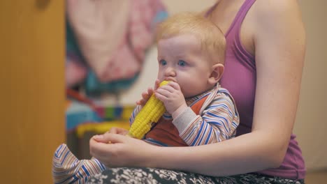 little son nibbles boiled corn on cob in mommy arms at home