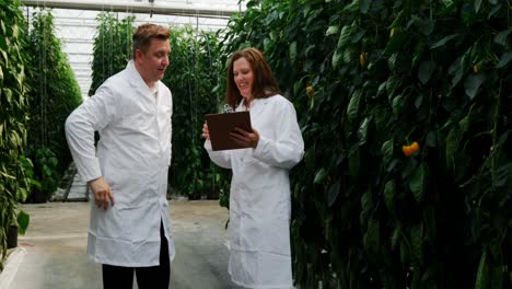 Scientists-discussing-over-clipboard-in-the-greenhouse-4k