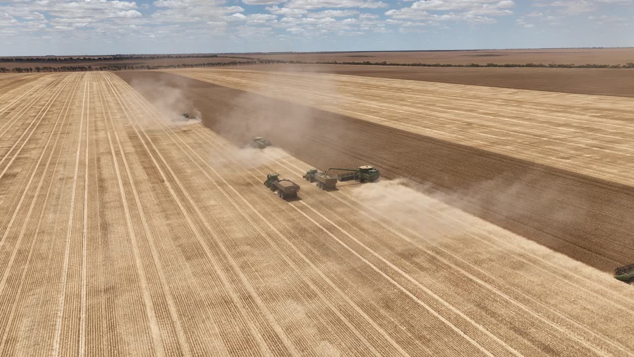 웨스턴오스트레일리아의 넓은 에이커 곡물 수확