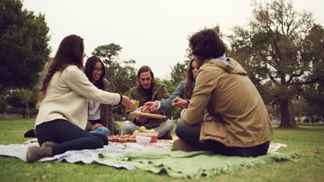 Life-always-needs-a-few-more-picnics