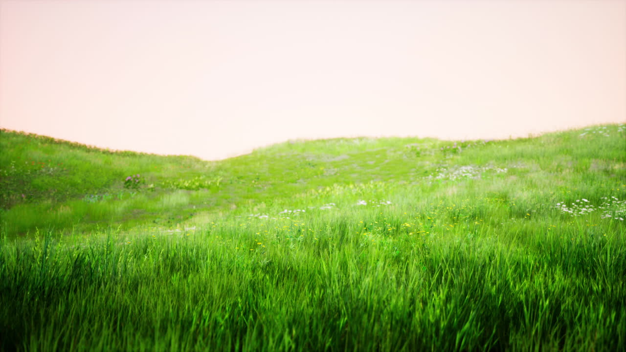 아름다운 녹색 언덕과 함께 토스카니아 풍경 봄