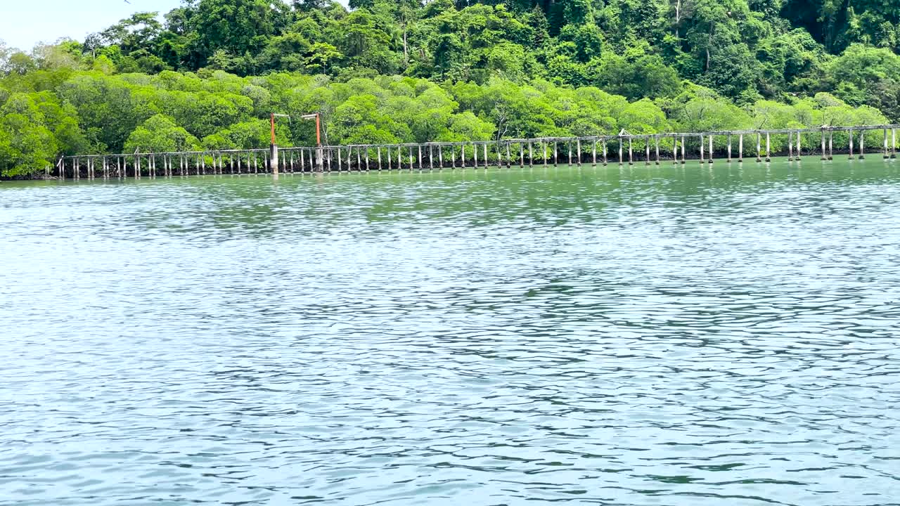 brahminy 연은 물 표면 위로 급습하여 먹이를 얻습니다.