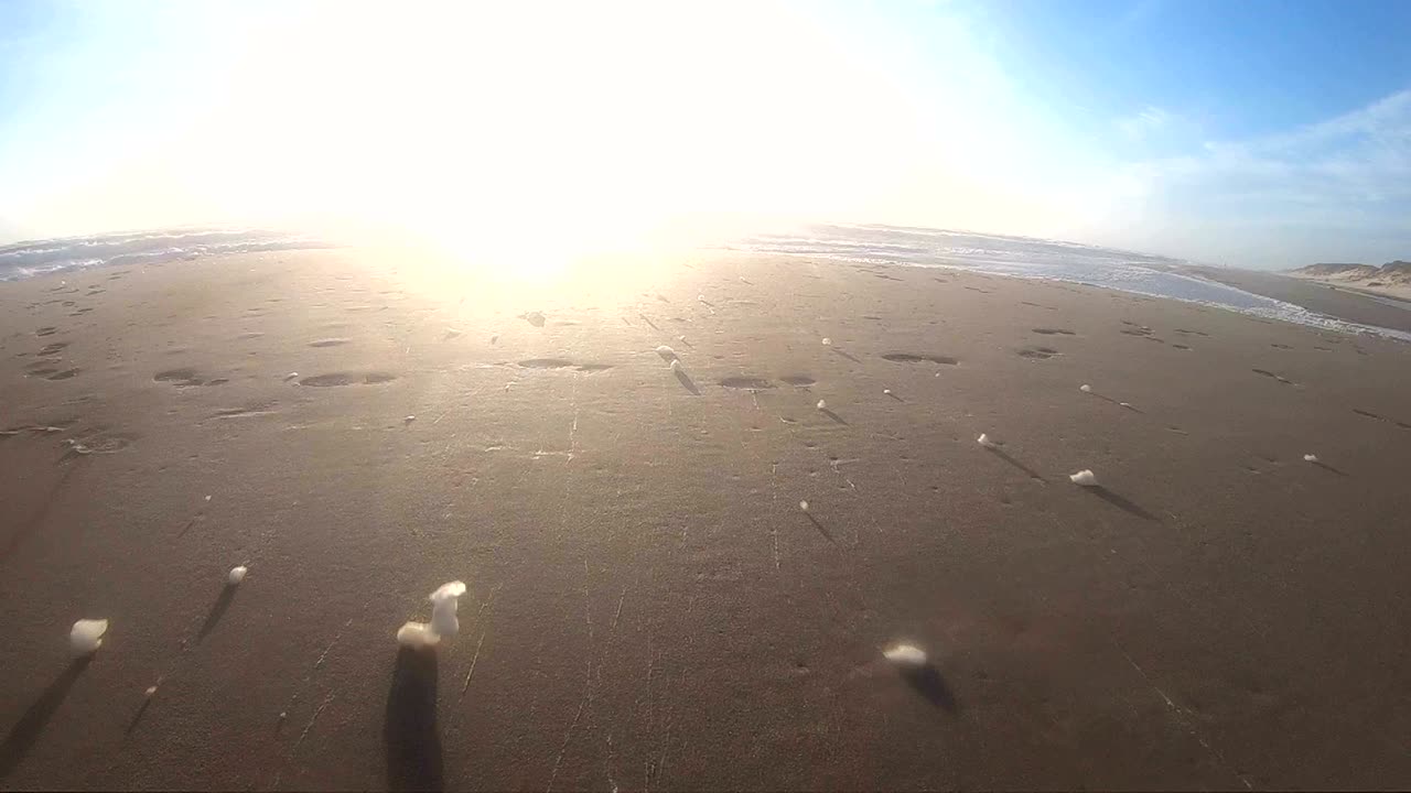 해변에서 폭풍의 해조류 거품, 느린 동작, 모래 해변, 북해, jütland, søndervig, 덴마크, 4k