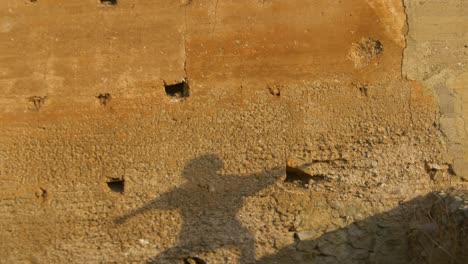 La-Sombra-En-La-Pared-Está-Bailando