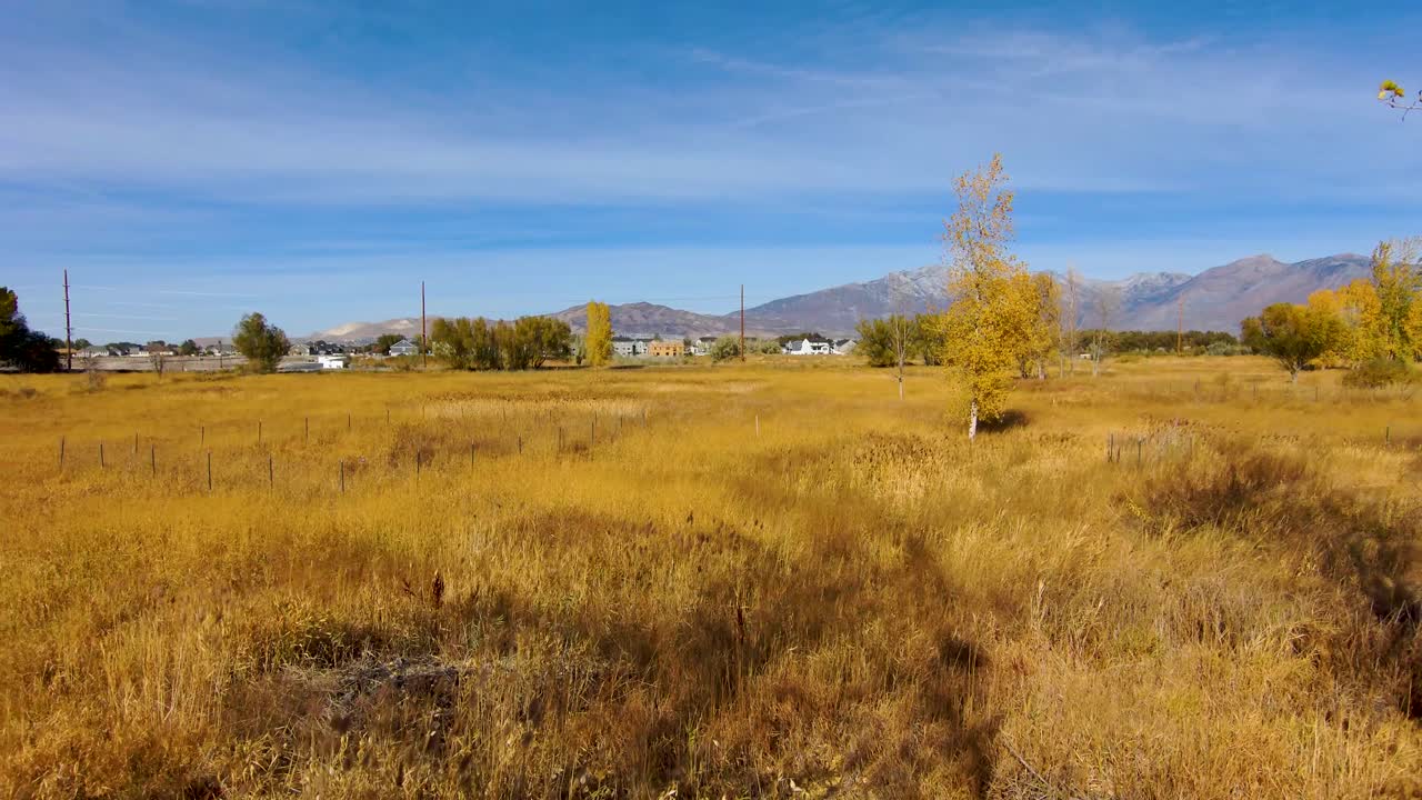 가을에 농업 공동체의 전망을 보고 화려한 나무 사이로 뒤로 물러나다