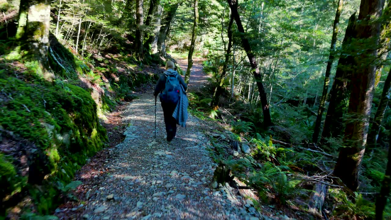 siga a través de la foto de una mochilera solitaria, caminando a través de un denso bosque verde