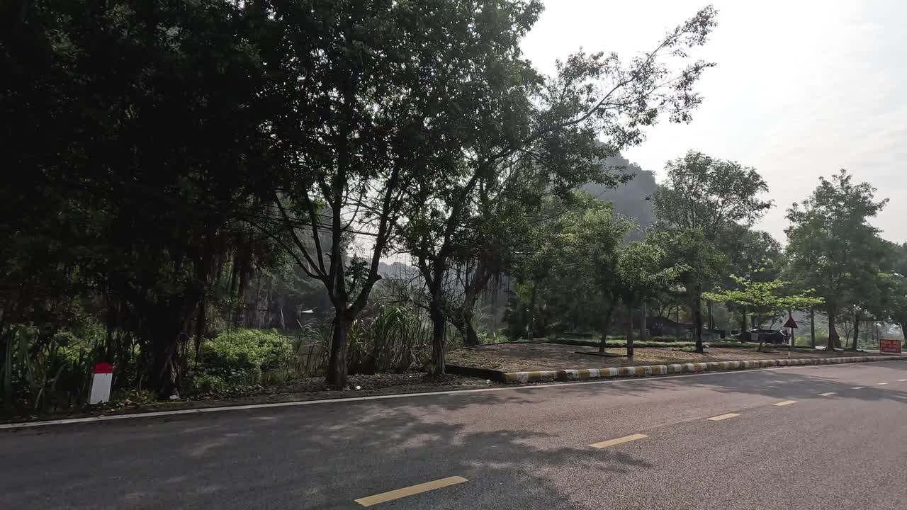 울창한 초록색으로 둘러싸인 조용한 도로