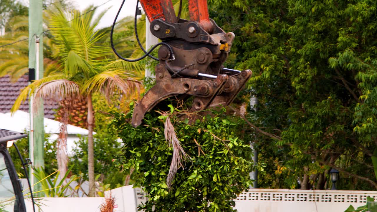 An orange hydraulic excavator uses a claw attachment to uproot and remove a palm plant in a suburban Gold Coast neighborhood, under natural daylight