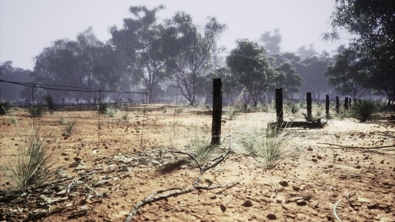 Vast australian landscape revealing rugged terrain and resilient flora