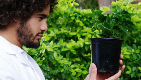 man looking at pot plant