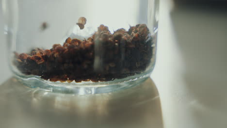 una foto de cerca de las hierbas aromáticas secas llenando un frasco de vidrio