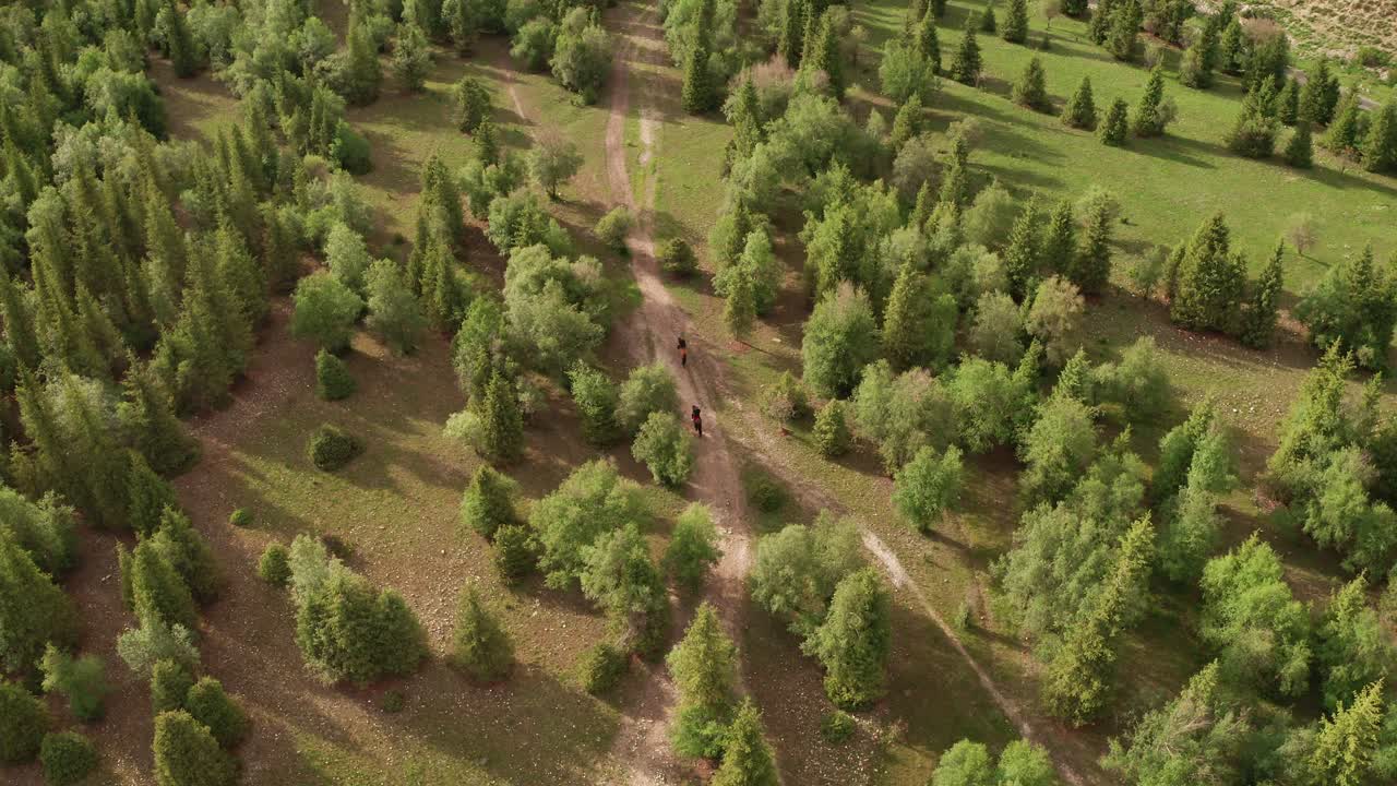 숲을 타고 말을 타고.