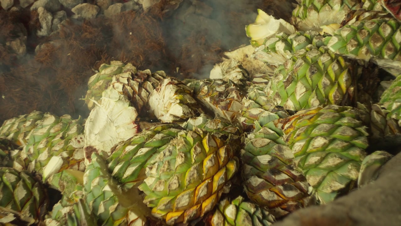 Tostatura di piñas di agave attorno a un forno tradizionale per mezcal in una distilleria di Oaxaca, carrellata all'indietro al rallentatore