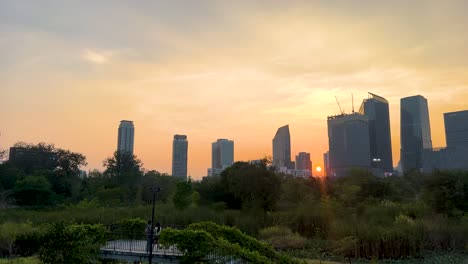 sunset view with city skyline and park