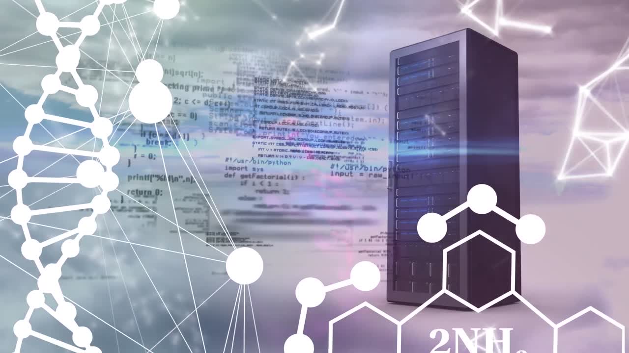 animación del procesamiento de datos a través del servidor