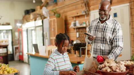 happy senior african american grandfather and grandson shopping at health food shop, slow motion