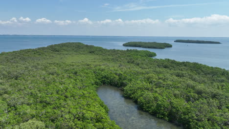 isla de manglares de sarasota con bahía y vista de la costa lejana