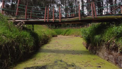 Fliegen-Der-Drohne-In-Richtung-Der-Fußgängerbrücke