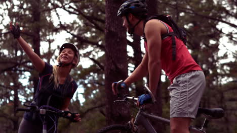 pareja en bicicleta a través de un bosque