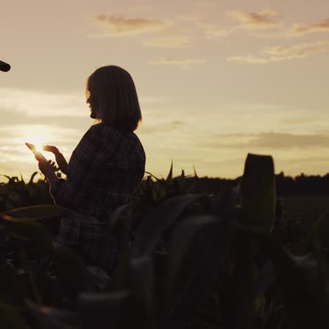 silhouettes of two farmers in a field of corn 1
