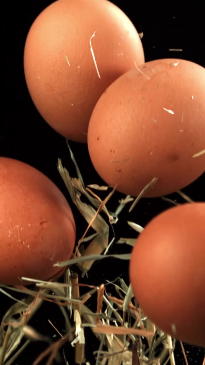 Brown Eggs and Hay Floating Upwards on Black Background