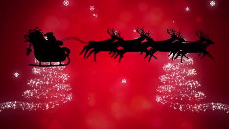 Animation-of-santa-in-sleigh-over-christmas-trees