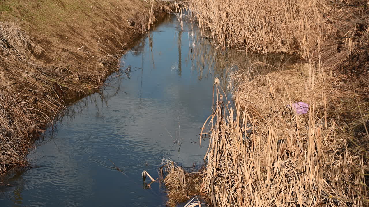 Small stream surrounded by dry grass and reeds in late winter