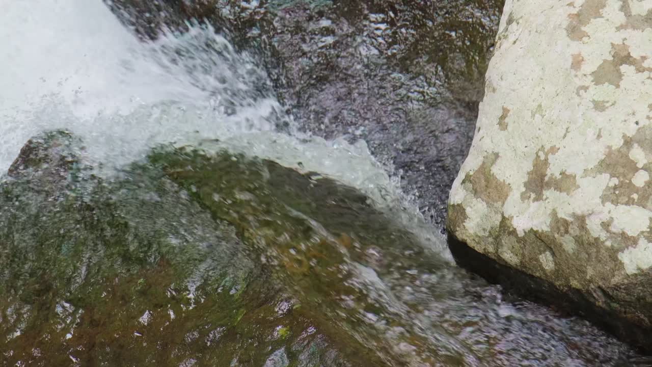 Slow-motion footage of a creek cascading over rocks, creating white water as it flows through the serene Gold Coast Hinterland, Queensland, Australia.