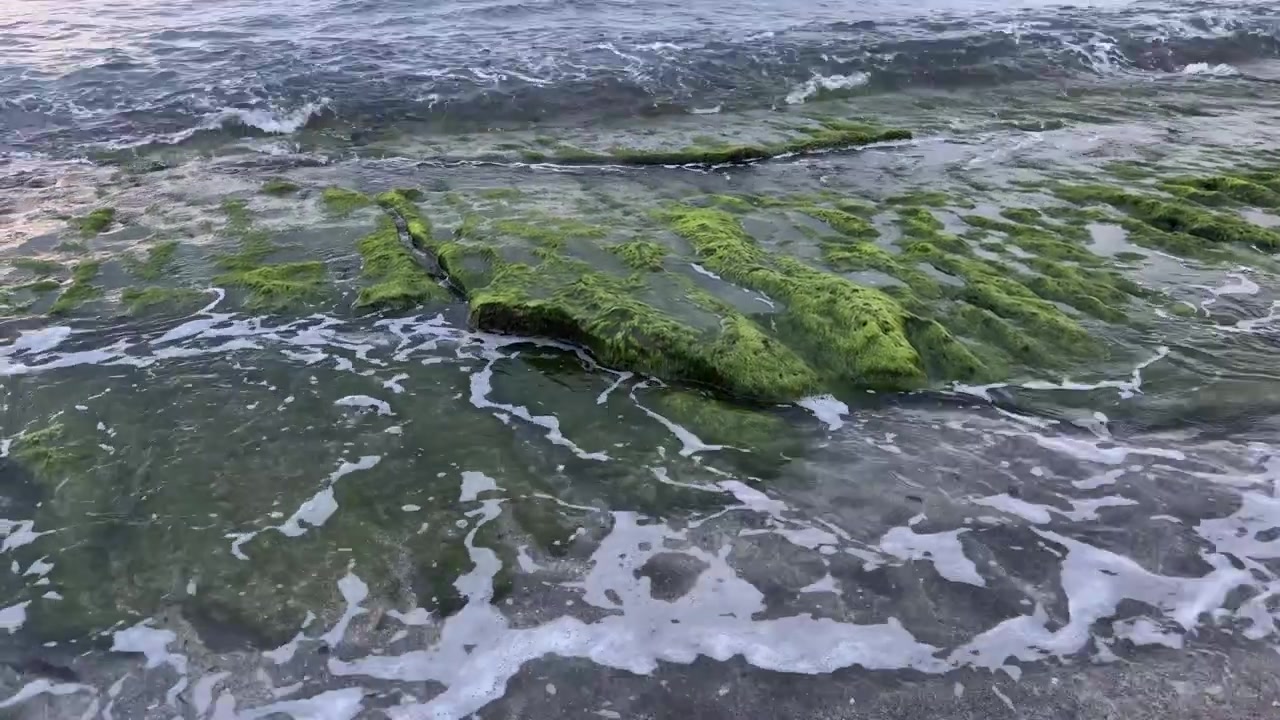 Onde dell'oceano che lambiscono rocce verdi ricoperte di muschio.