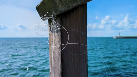 línea de pesca imprudente dejado en un muelle como un peligro para la vida silvestre y el medio ambiente