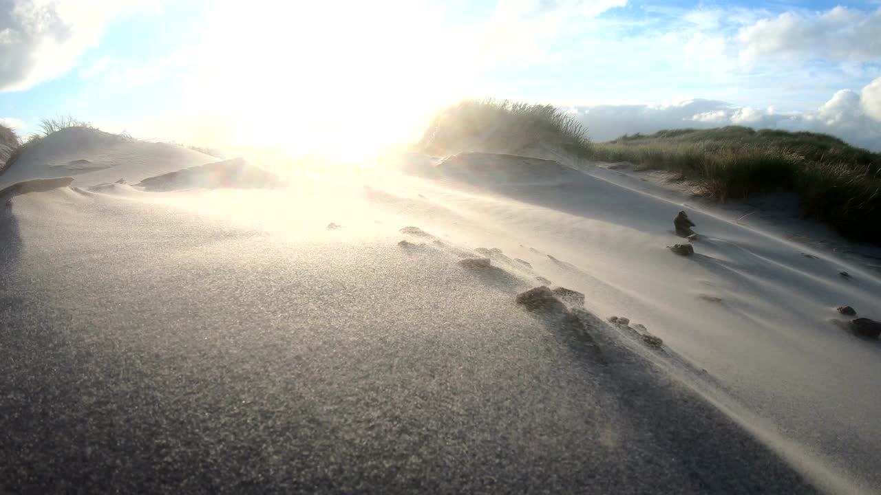 Sand dunes with dune grass in the storm of the North Sea, hiking dunes, dike protection, Sondervig, Jutland, Denmark, 4k