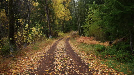 Kardanische-Reise,-Die-Im-Herbst-Eine-Ländliche-Landstraße-In-Oregon-Abgeschossen-Hat