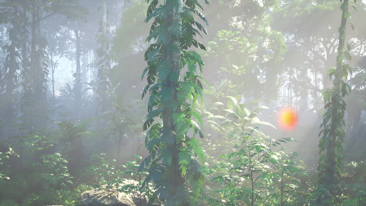 푸른 숲에서 안개를 통해 빛나는 빛