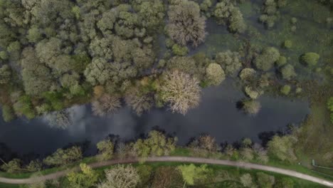 Vogelperspektive-über-Das-Tal-Der-Schelde-Mit-Wäldern-Und-Wunderschöner-Wasserspiegelung