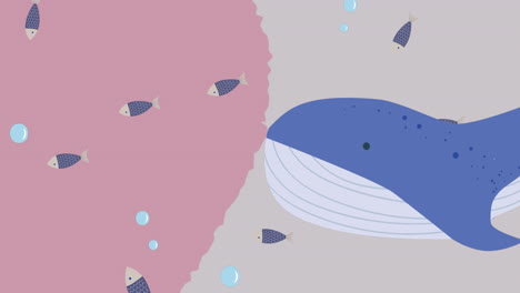 animación de peces y ballenas en fondo rosa