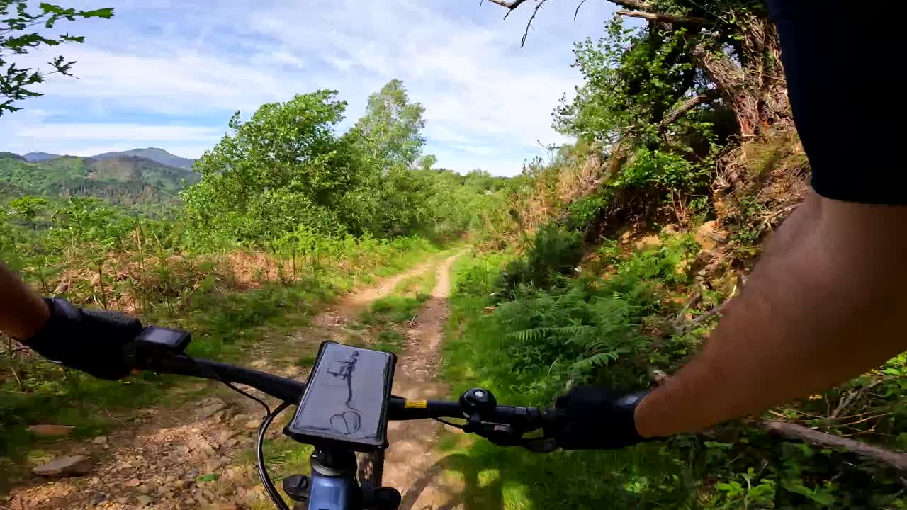 POV Mountain Biking on a Forest Trail