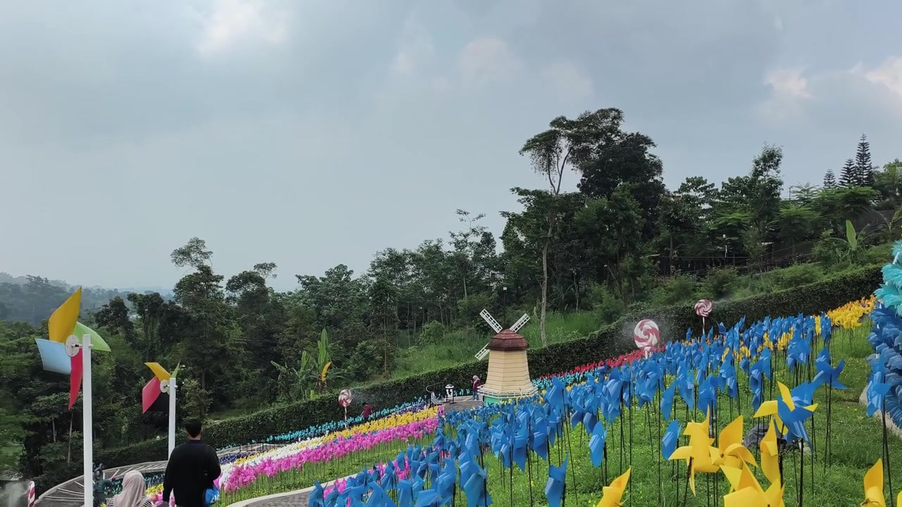 Giardino colorato di girandole con un mulino a vento in miniatura su una collina