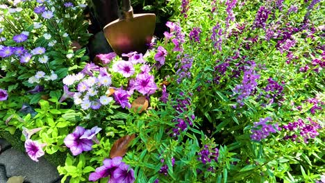colorful blooms in a lush garden setting