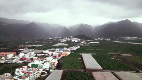 Banana-plantation-near-town-with-mountain-peak-in-the-background,-aerial