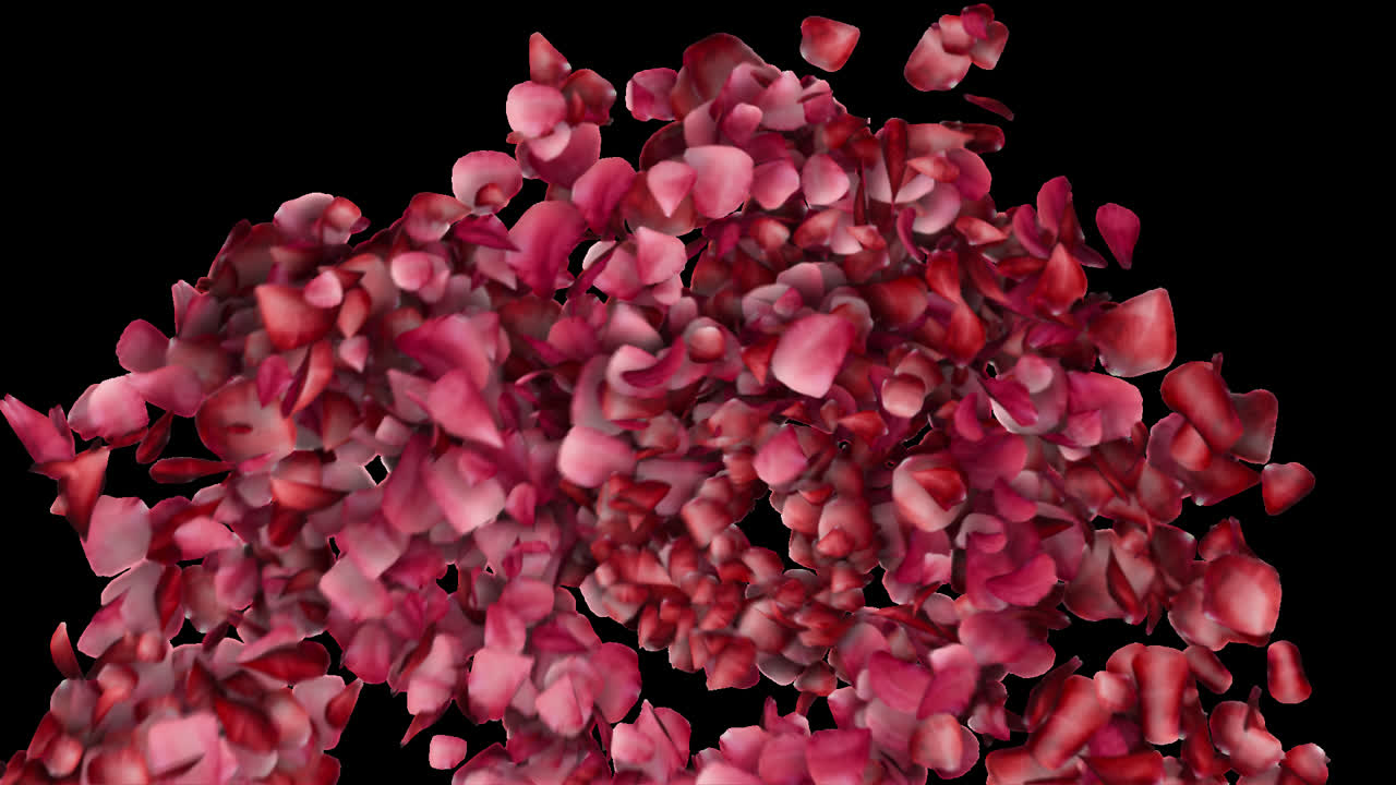 Motion Graphics Pengungkapan Pusaran Kelopak Romantis.