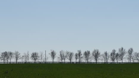 Vehículo-Minivan-En-Carretera-Rural