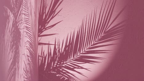 pink textured wall with palm frond shadow waving in wind on back, vertical