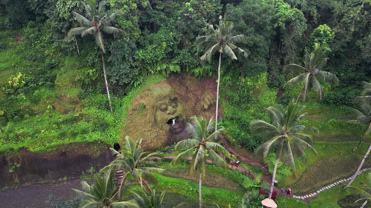 Drone footage of Alas Harum featuring palm trees, riverside paths, terraced fields, tropical gardens, elevated viewpoints, and the monkey face mountain carving across the Tegalalang jungle setting