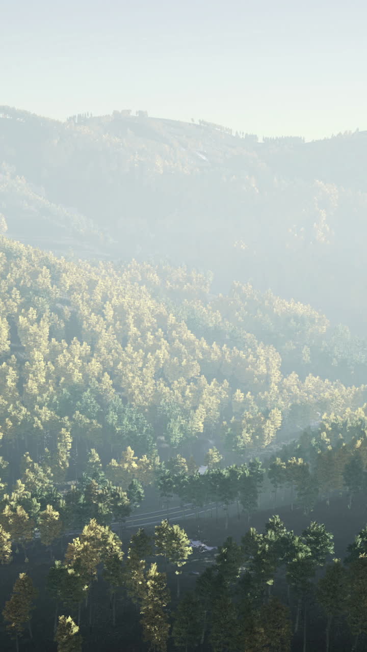 A vast landscape unfolds with vibrant green trees blanketing rolling hills