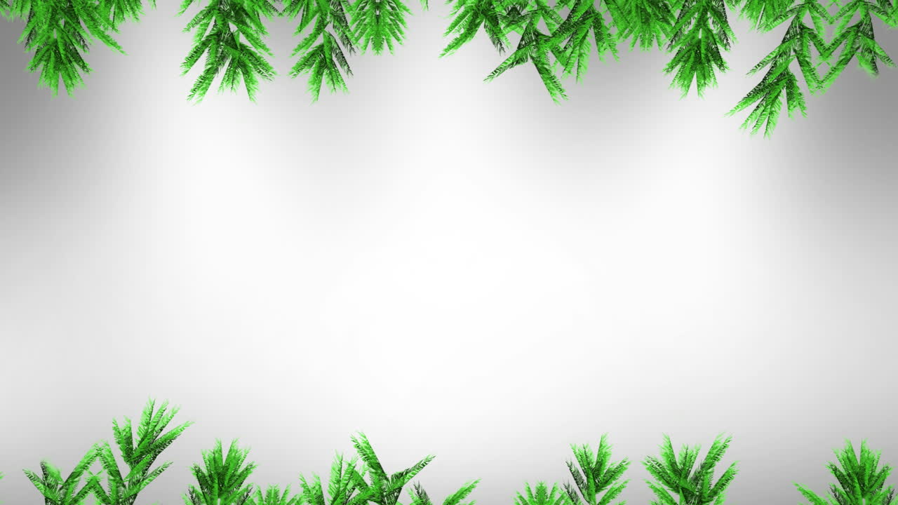 Animation of fir trees branches over white background