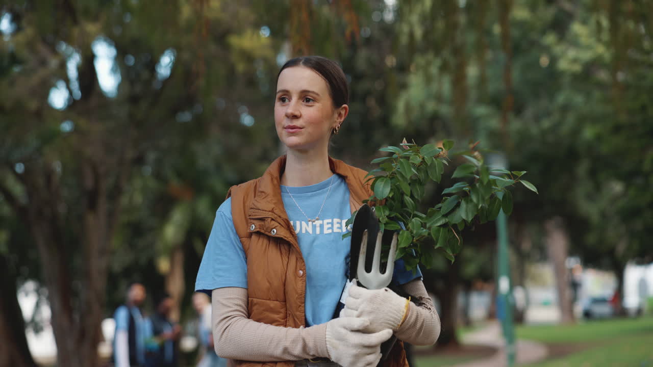 женщина добровольно сажает деревья в парке