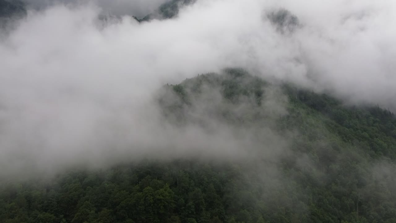 Misty mountain landscape with lush forest
